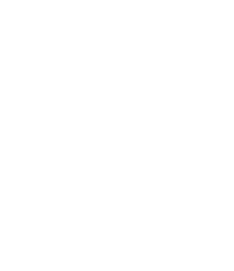 Logo The Ballester Business Group